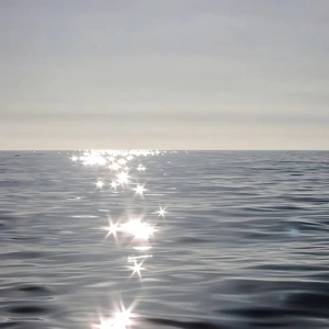 vk茶茶的脚底板 |VK
